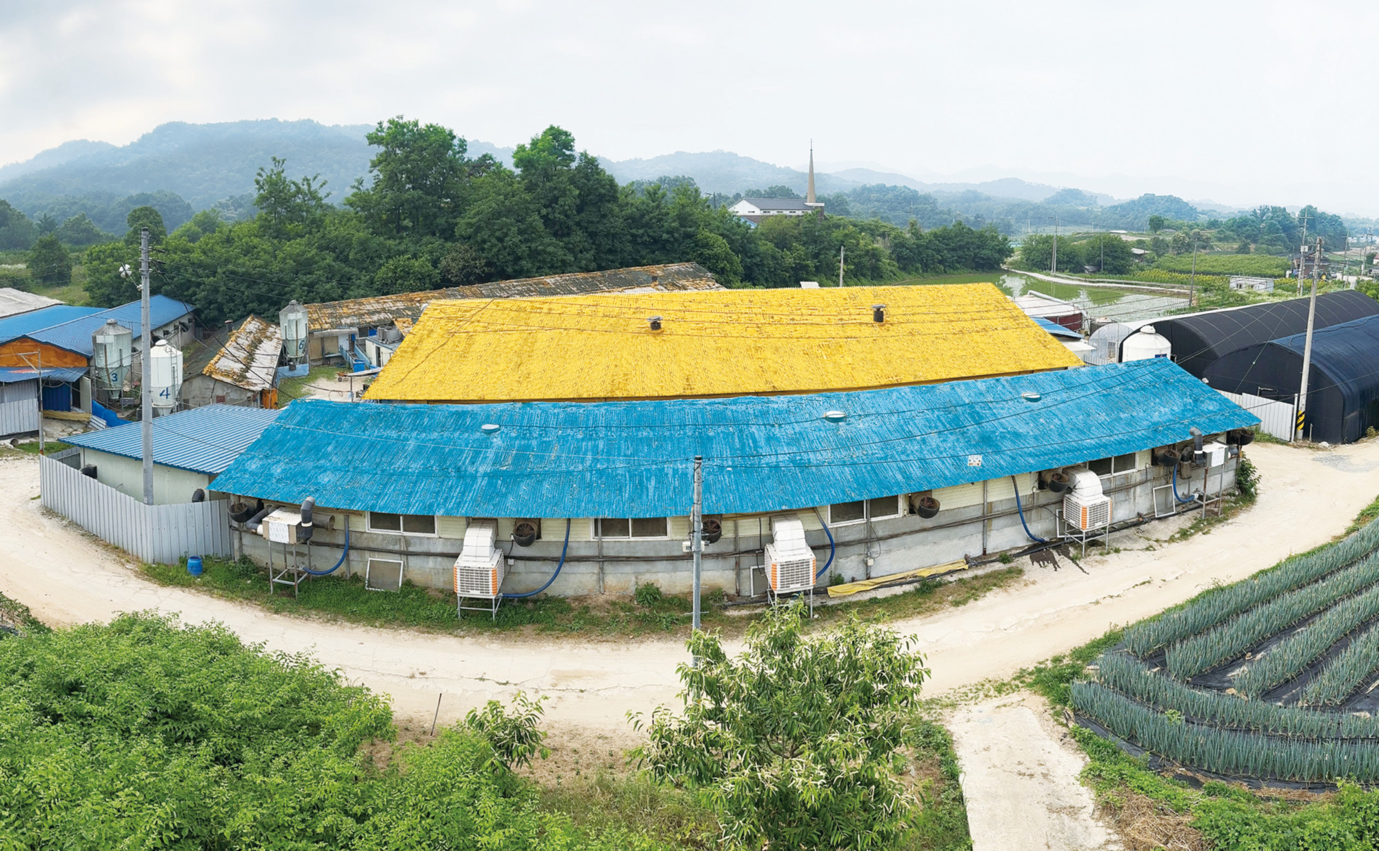 4.한돈농가 탐방04.jpg